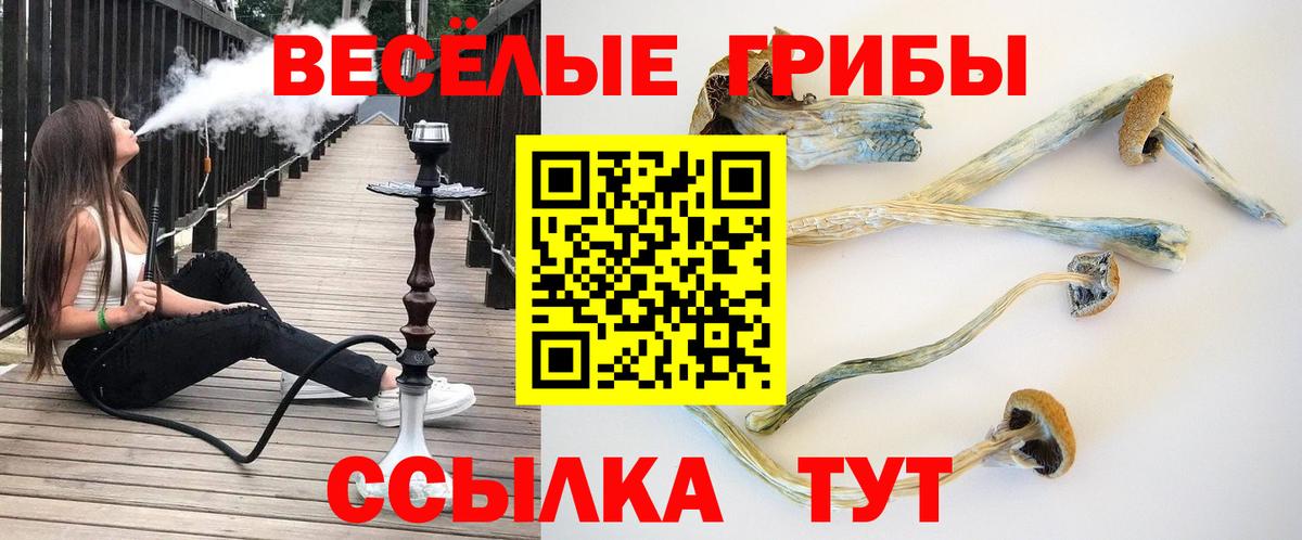 Псилоцибиновые грибы MAGIC MUSHROOMS  Вход с VPN  что такое наркотик  Кимовск 